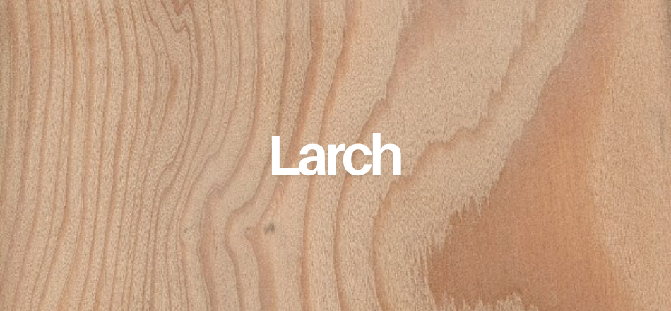 Larch