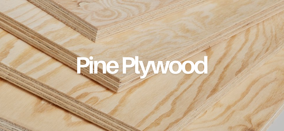 Pine Ply