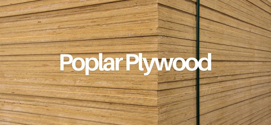 Poplar Ply